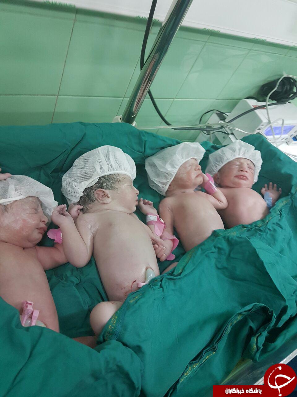 تولد نوزادان چهار قلو قمی