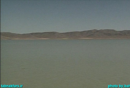 کافترِ هچنان تشنه...+عکس کافترِ هچنان تشنه...+عکس