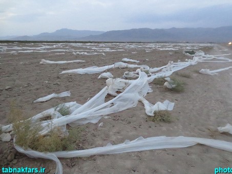 کافترِ هچنان تشنه...+عکس کافترِ هچنان تشنه...+عکس