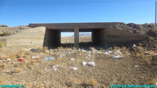 کافترِ هچنان تشنه...+عکس کافترِ هچنان تشنه...+عکس