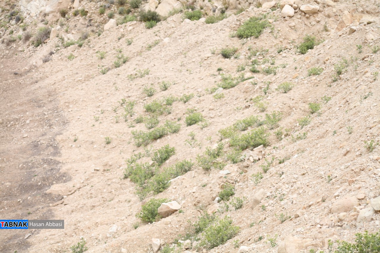 دره شاهی دره شاهی