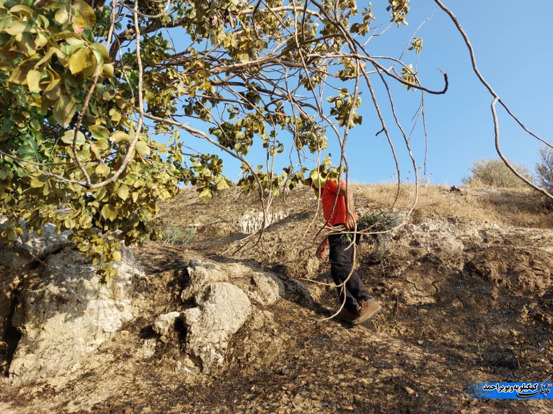 نبرد شورای اداری لنده با آتش/روزی که شهرداری کولاک کرد و برخی مدیران و مردم برای طبیعت با شجاعت پای کار آمدند نبرد شورای اداری لنده با آتش/روزی که شهرداری کولاک کرد و برخی مدیران و مردم برای طبیعت با شجاعت پای کار آمدند