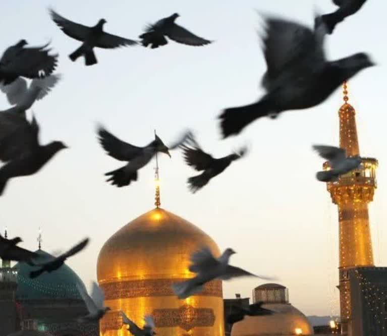 اعلام برنامه های خدمت رسانی آستانقدس رضوی به زائران دهه ی آخر صفر