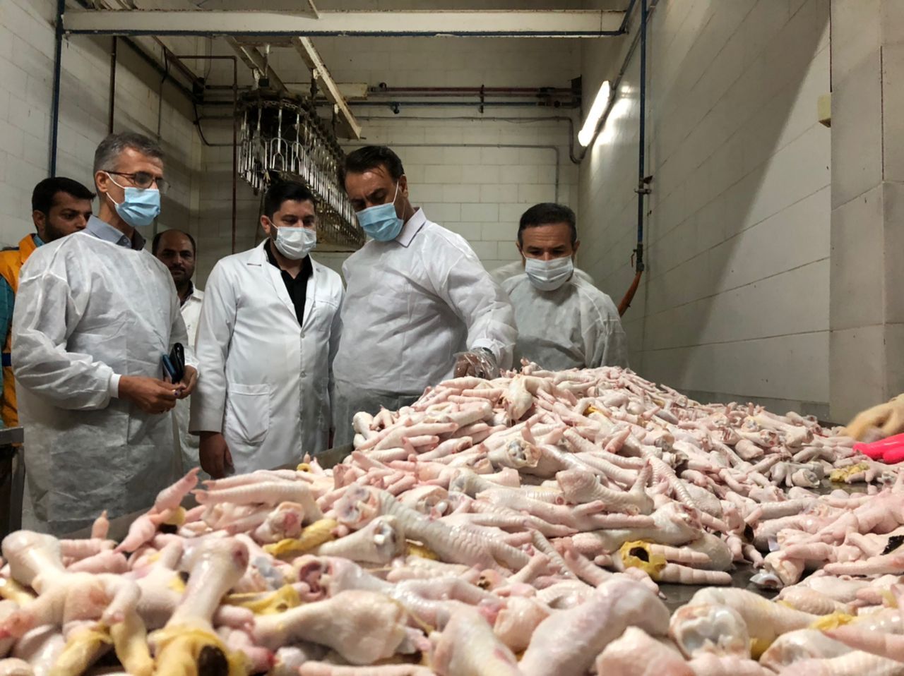 نظارت میدانی بر 15 کشتارگاه طیور در گلستان آغاز شد/ سلامت غذایی از اولویت های سازمان است