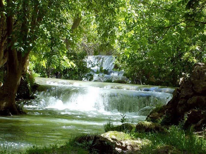 ریجاب؛ نگین سبز زاگرس در آغوش تاریخ و طبیعت ریجاب؛ نگین سبز زاگرس در آغوش تاریخ و طبیعت