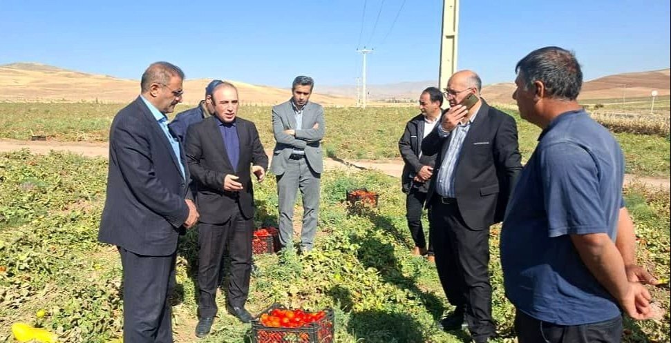 تصویب ۶۱ طرح اشتغالزایی و سرمایهگذاری در شهرستان کوثر تصویب ۶۱ طرح اشتغالزایی و سرمایهگذاری در شهرستان کوثر