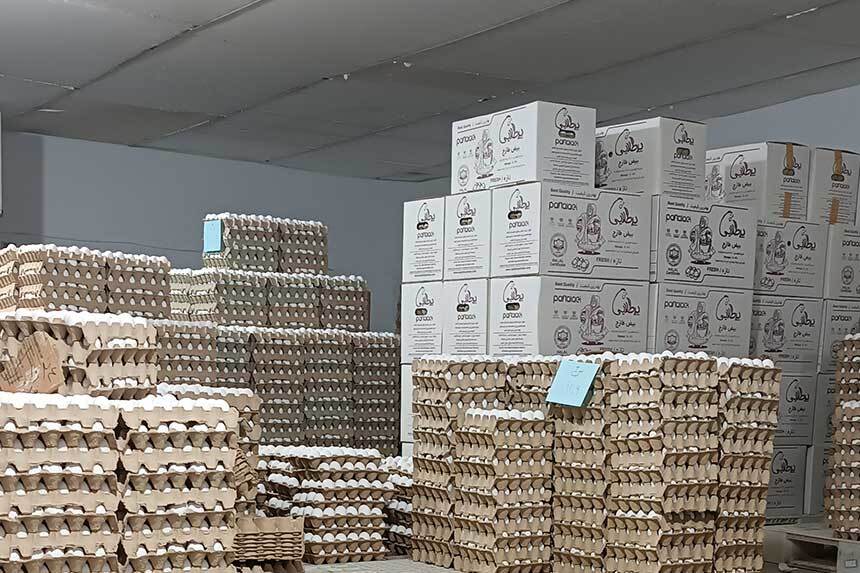 کشف ۸۰۰ تن تخممرغ احتکارشده در رامیان / پلمب سردخانه متخلف کشف ۸۰۰ تن تخممرغ احتکارشده در رامیان / پلمب سردخانه متخلف