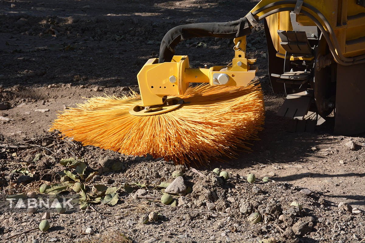برداشت گردو اصلاح شده با دستگاه مکانیزه