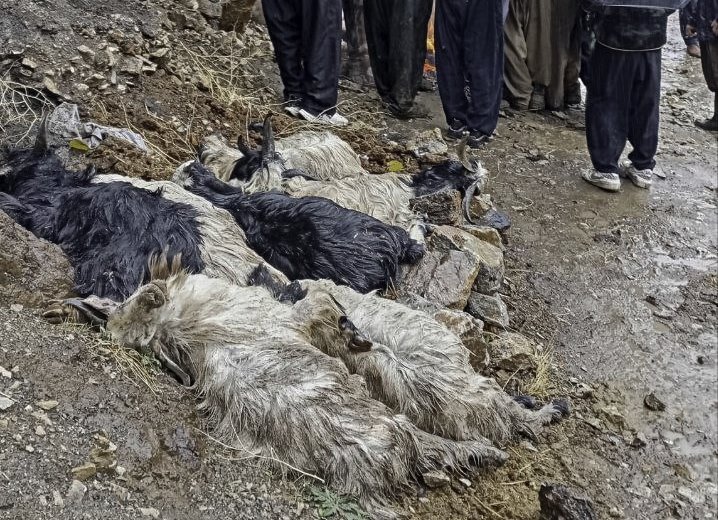 آخرین جزئیات ریزش کوه در هورامان تخت/ هفت رأس دام تلف و خسارت شدید به دو خانه وارد شد + تصویر آخرین جزئیات ریزش کوه در هورامان تخت/ هفت رأس دام تلف و خسارت شدید به دو خانه وارد شد + تصویر